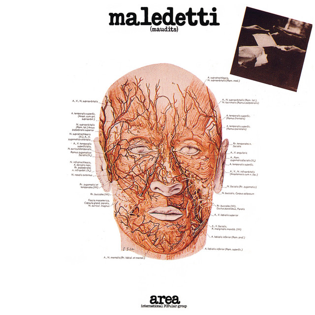 Maledetti album cover