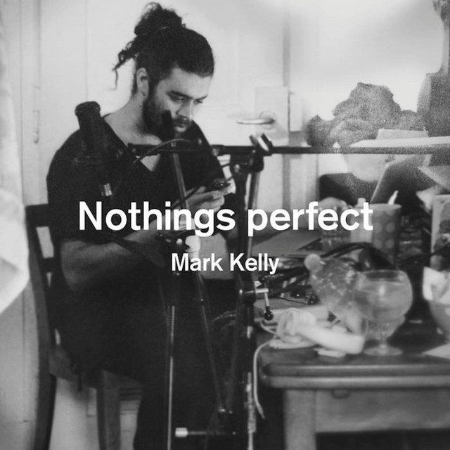 Nothings Perfect album cover