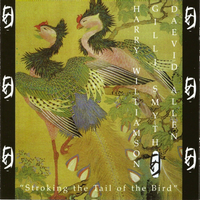 Stroking the Tail of the Bird album cover