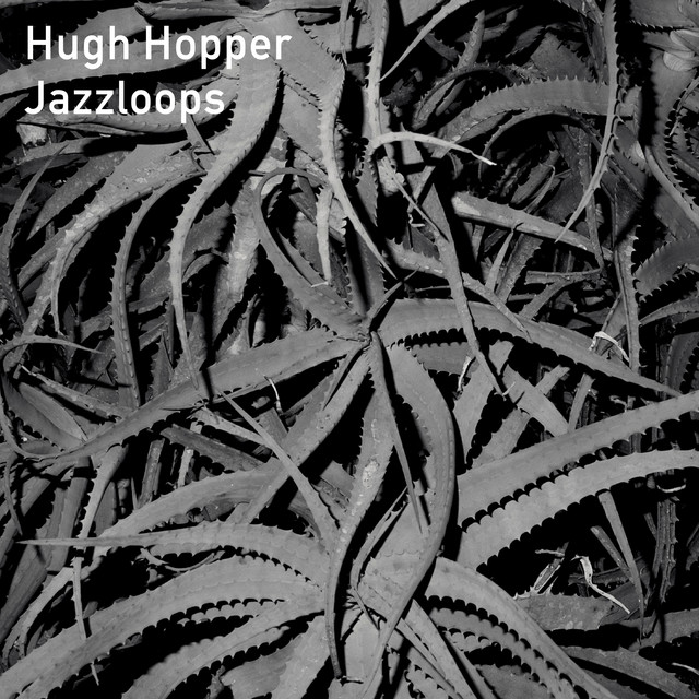 Jazzloops album cover