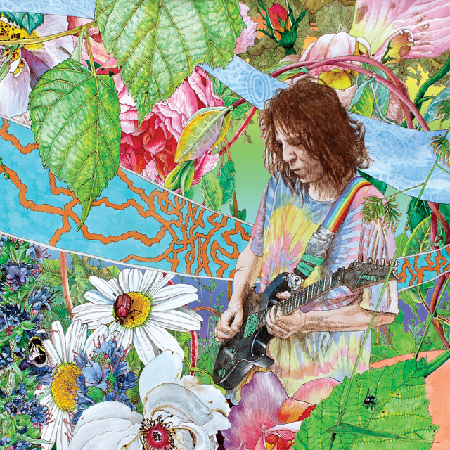 Shimmer into Nature album cover