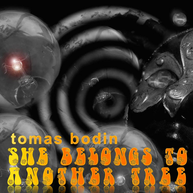 She Belongs to Another Tree album cover