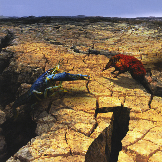 Number Seven album cover