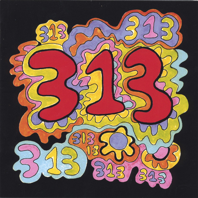 313 album cover