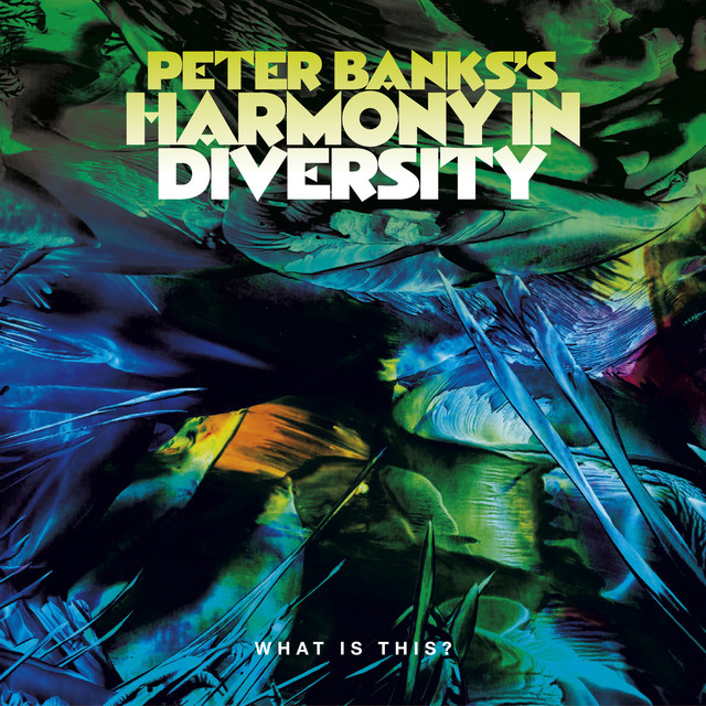 Peter Banks's Harmony in Diversity: What is This? album cover