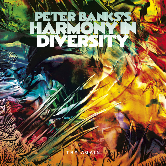 Peter Banks's Harmony in Diversity: Try Again album cover