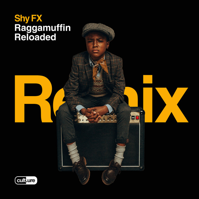 Raggamuffin Reloaded album cover