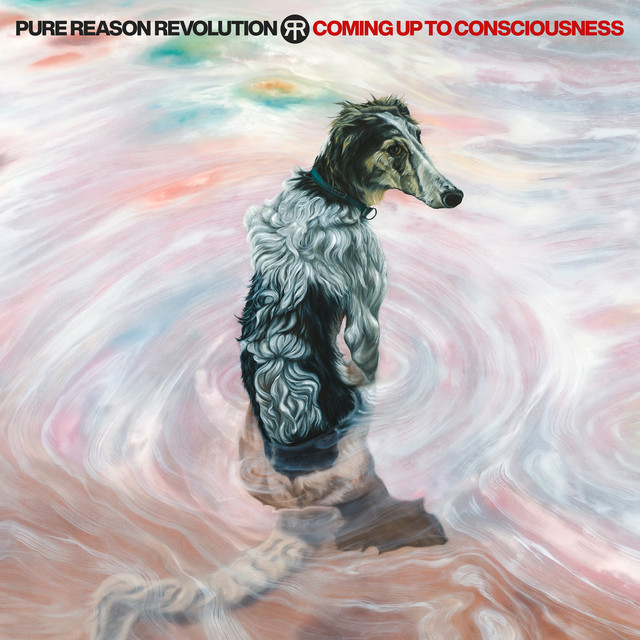 Coming Up To Consciousness album cover