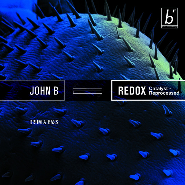 Redox (Catalyst Reprocessed) album cover