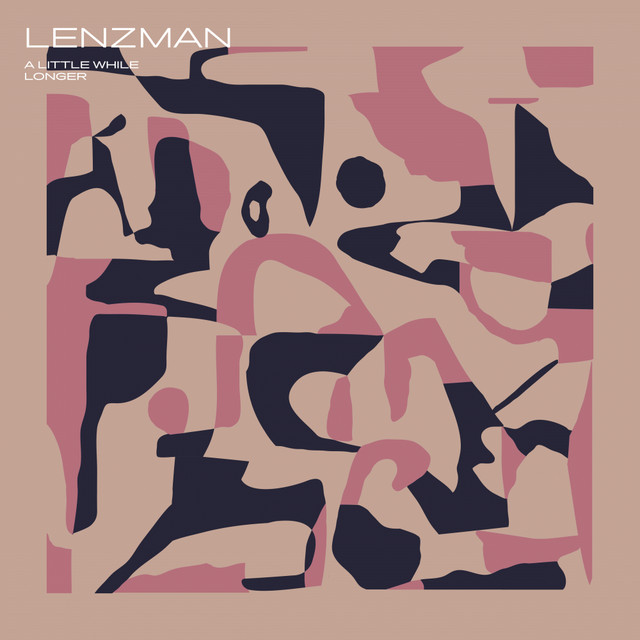 A Little While Longer album cover