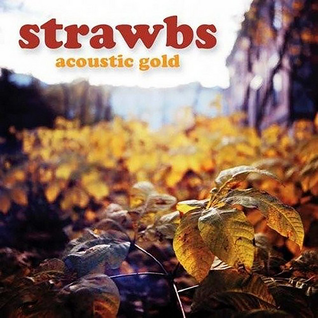 Acoustic Gold album cover