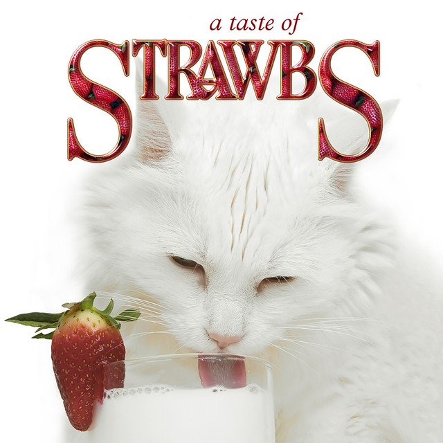 A Taste of Strawbs album cover