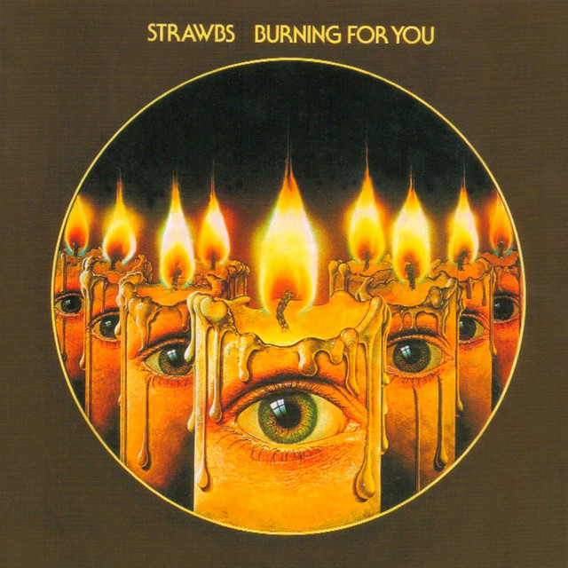 Burning for You album cover