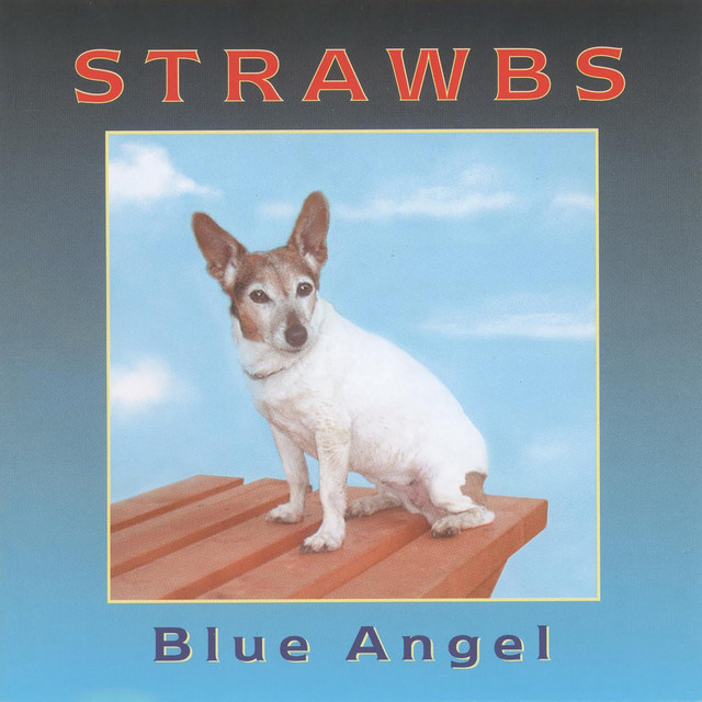 Blue Angel album cover