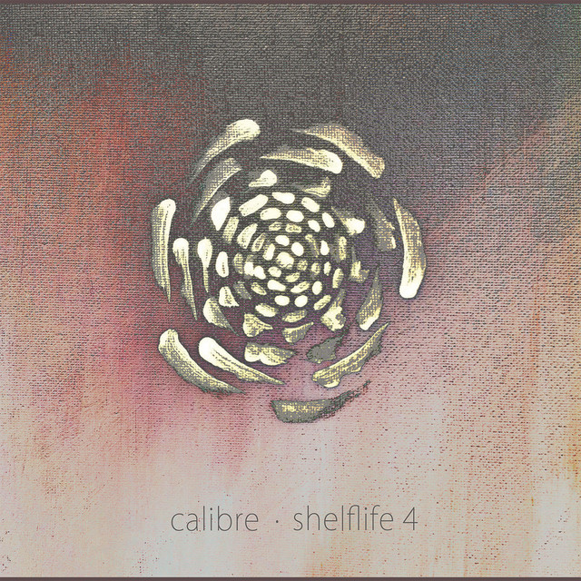 Shelflife 4 album cover