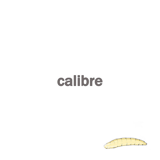 Condition album cover