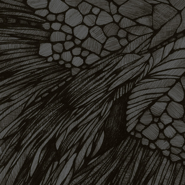 Overflow album cover