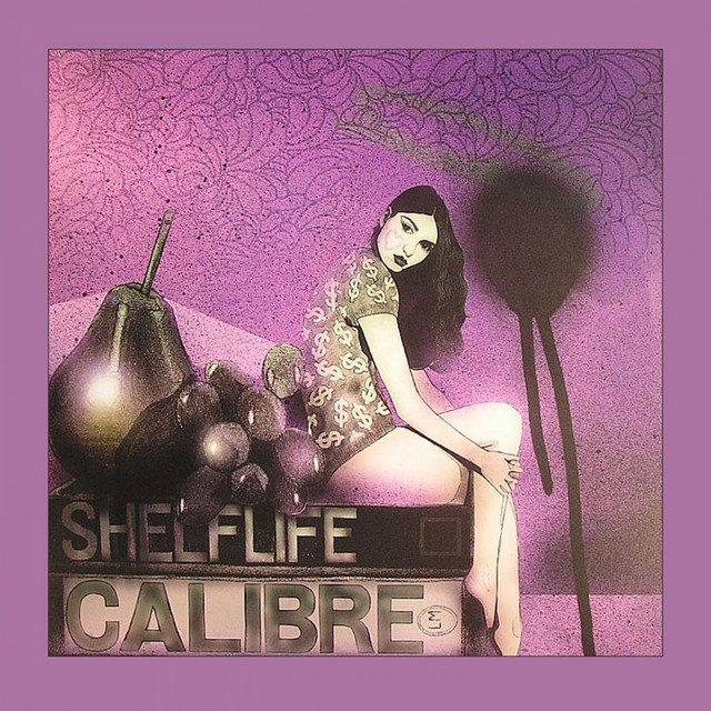 Shelflife album cover