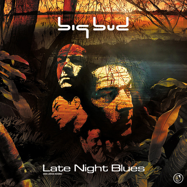 Late Night Blues album cover