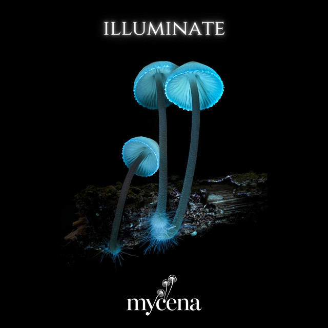 Mycena Media - Illuminate album cover