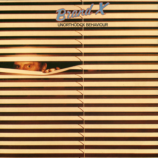 Unorthodox Behaviour album cover