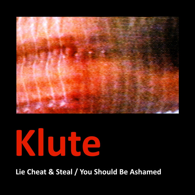 Lie Cheat & Steal / You Should Be Ashamed album cover