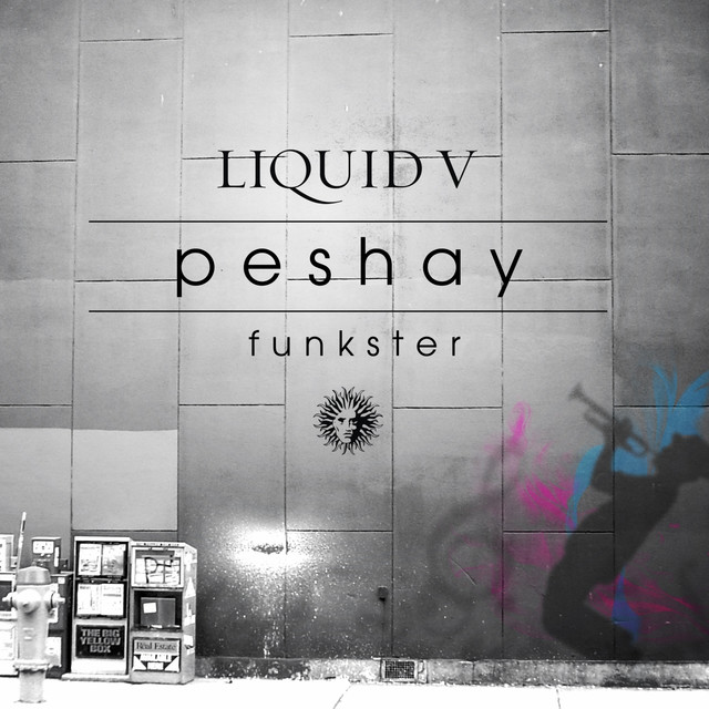 Funkster album cover