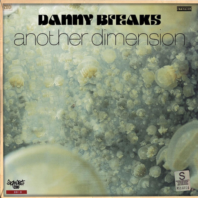 Another Dimension album cover