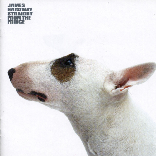 Straight From The Fridge album cover