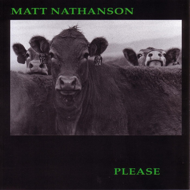 Please album cover