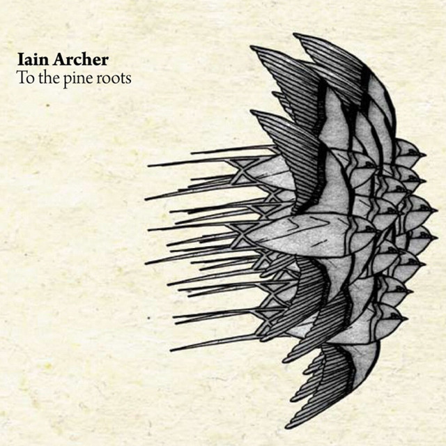 To The Pine Roots album cover