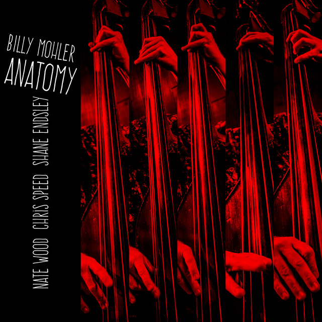 Anatomy album cover