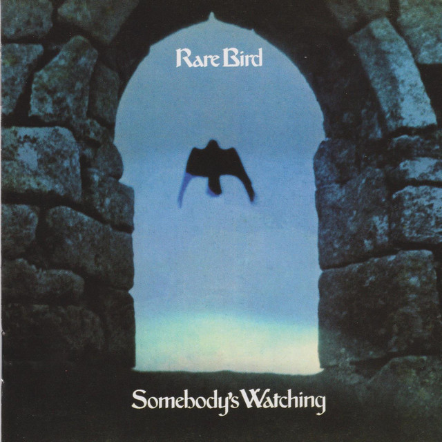 Somebody's Watching album cover