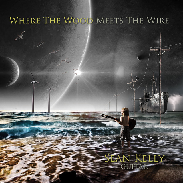 Where the Wood Meets the Wire album cover