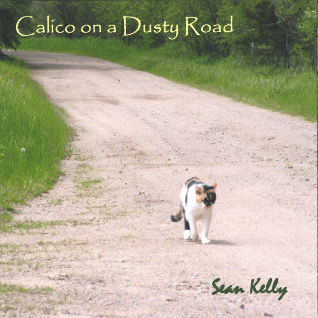 Calico On A Dusty Road album cover