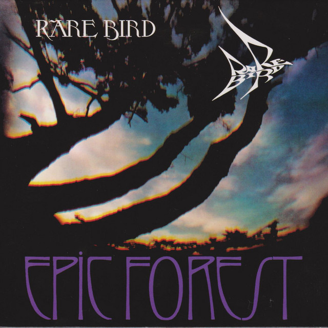 Epic Forest album cover