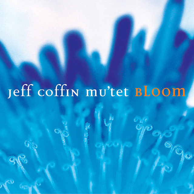 Bloom album cover