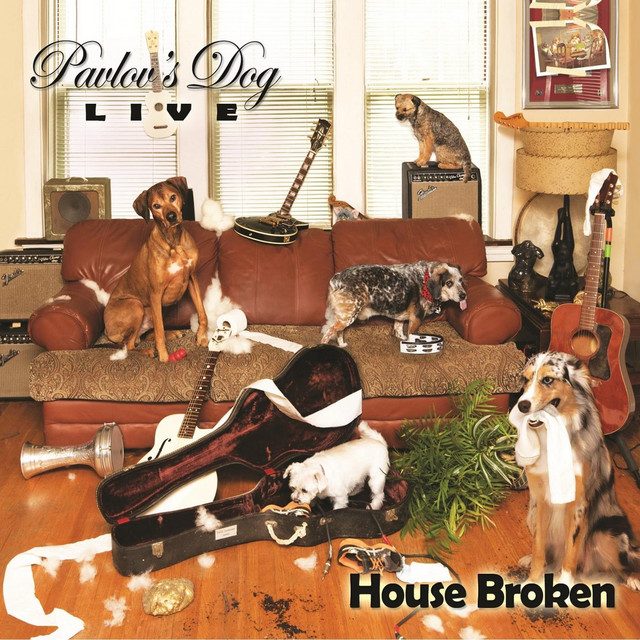 House Broken (Live) album cover