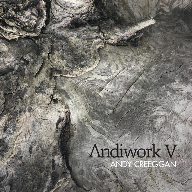 Andiwork V album cover