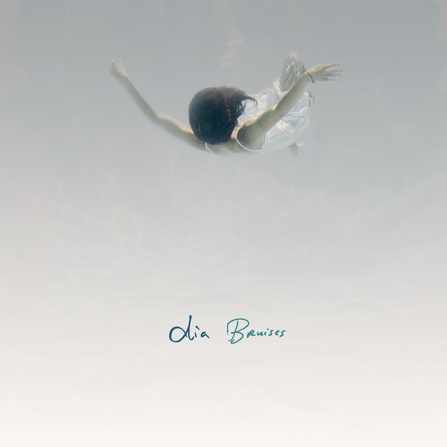 Bruises album cover