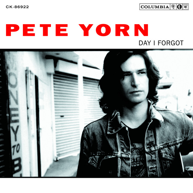 Day I Forgot album cover