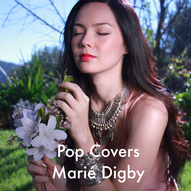 Pop Covers album cover