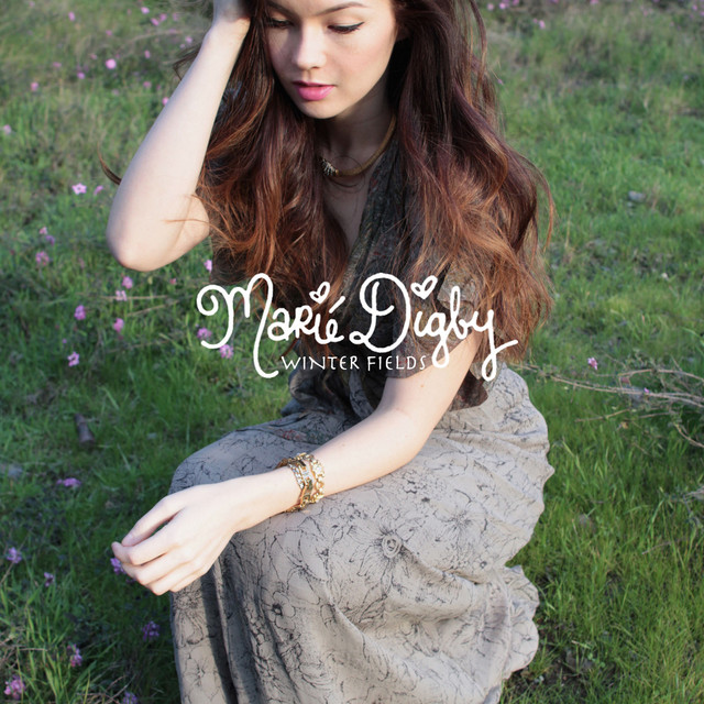 Winter Fields album cover