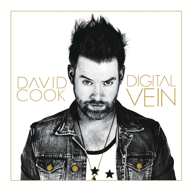 Digital Vein album cover