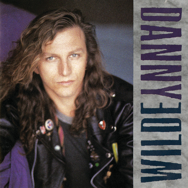 Danny Wilde album cover