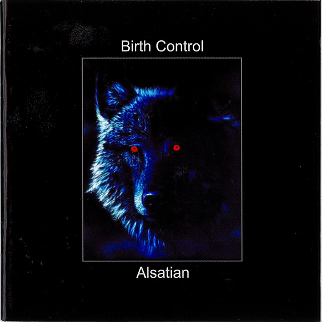 Alsatian album cover