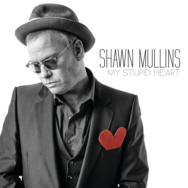 My Stupid Heart album cover