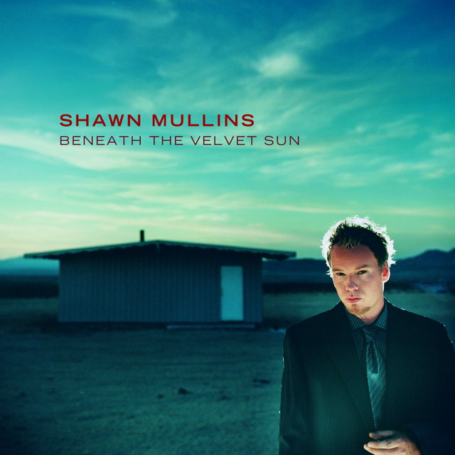 Beneath The Velvet Sun album cover