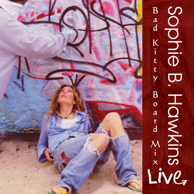 Bad Kitty Board Mix (Live) album cover