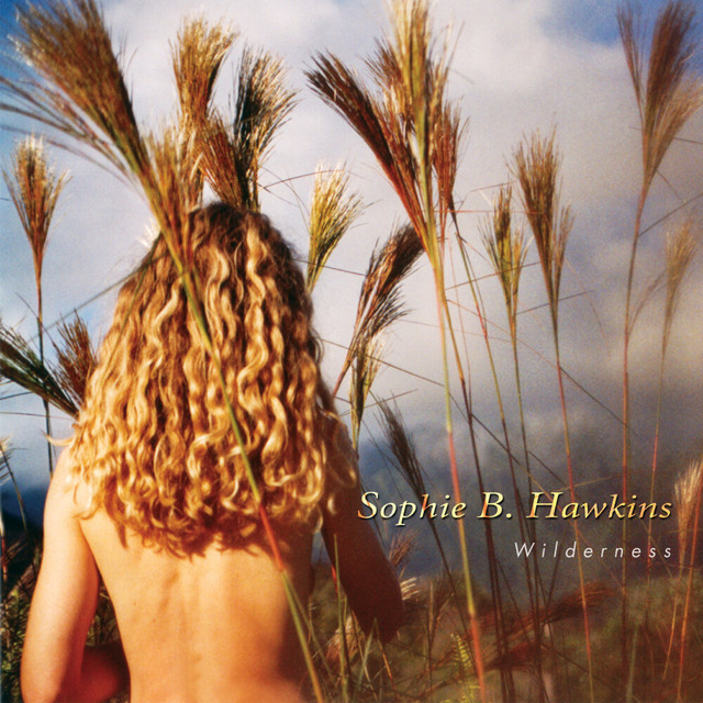 Wilderness album cover